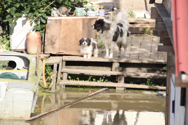 Similar image 5582918