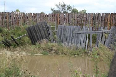 Similar image 5582922