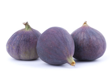 Similar image 5582975