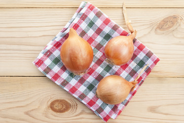 Similar image 5582977