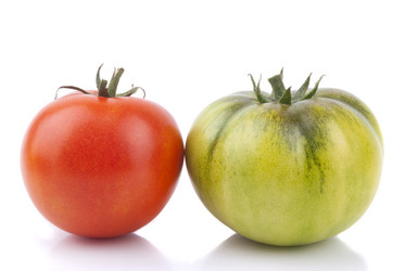 Similar image 5582980