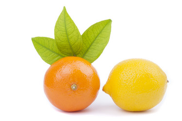 Similar image 5583002