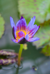 Similar image 5583155