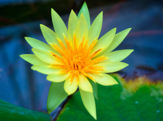 Similar image 5583156