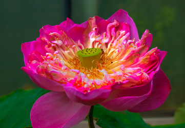 Similar image 5583157