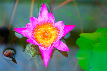 Similar image 5583164