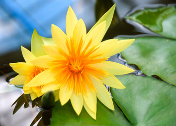 Similar image 5583165