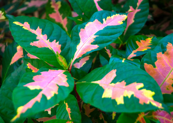 Similar image 5583166