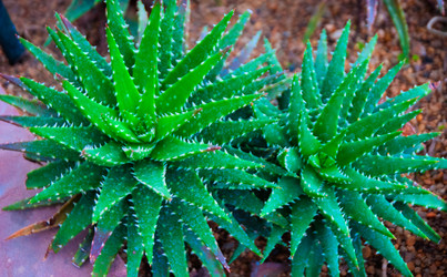 Similar image 5583167