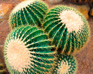 Similar image 5583169