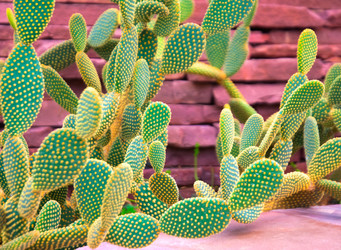 Similar image 5583171