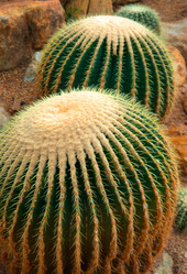 Similar image 5583172