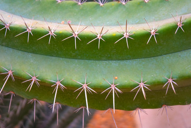 Similar image 5583173