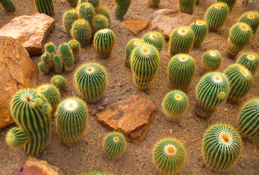 Similar image 5583175