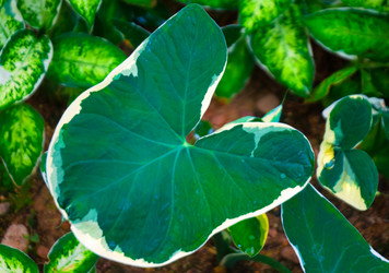 Similar image 5583177