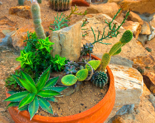 Similar image 5583176