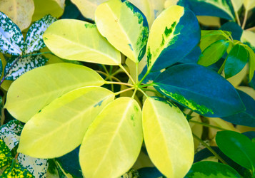 Similar image 5583180