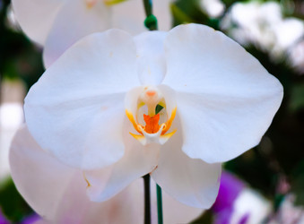 Similar image 5583181