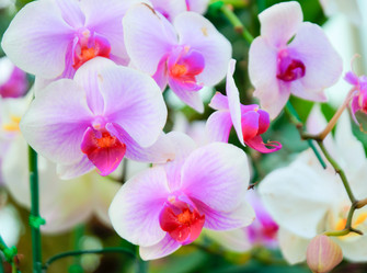 Similar image 5583183