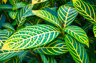 Similar image 5583184