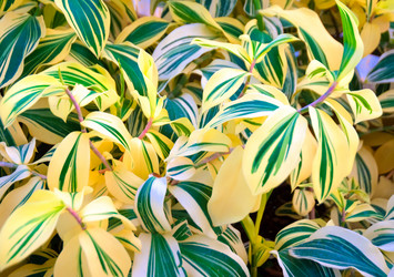 Similar image 5583186