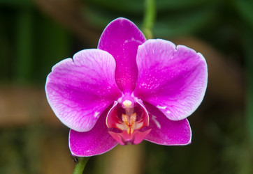 Similar image 5583187