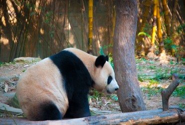 Similar image 5583189