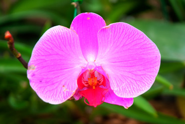 Similar image 5583190