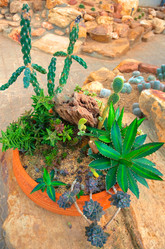 Similar image 5583192