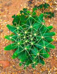 Similar image 5583194