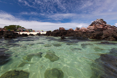 Similar image 5583201