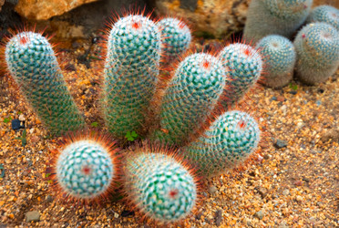 Similar image 5583204