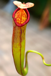 Similar image 5583205