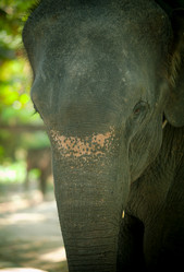 Similar image 5583216