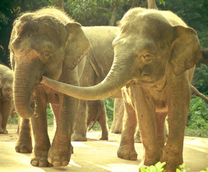 Similar image 5583219