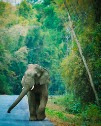 Similar image 5583223