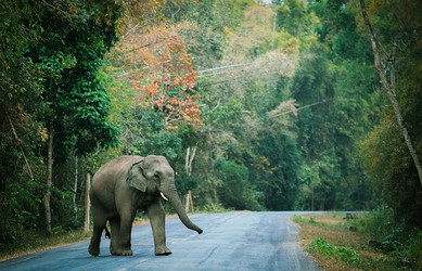 Similar image 5583224