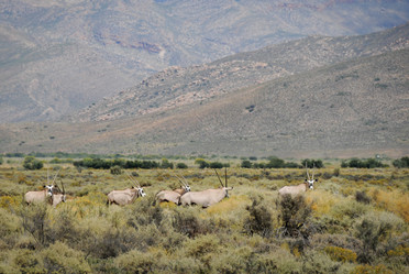 Similar image 5583242