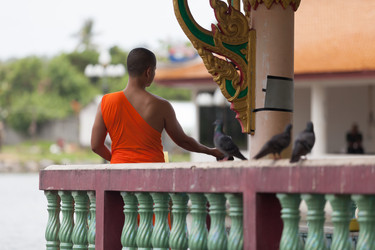 Similar image 5583268