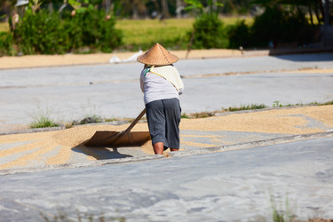 Similar image 5583270