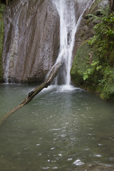 Similar image 5583274