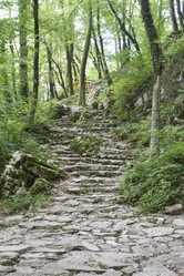 Similar image 5583277