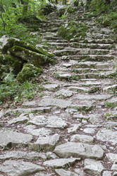 Similar image 5583278