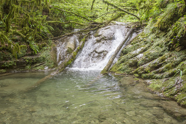 Similar image 5583289