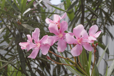 Similar image 5583299