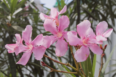 Similar image 5583301