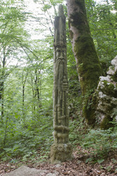 Similar image 5583306