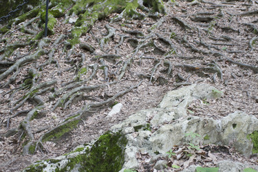 Similar image 5583326