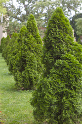 Similar image 5583331