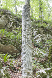 Similar image 5583340